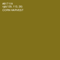 #81711A - Corn Harvest Color Image
